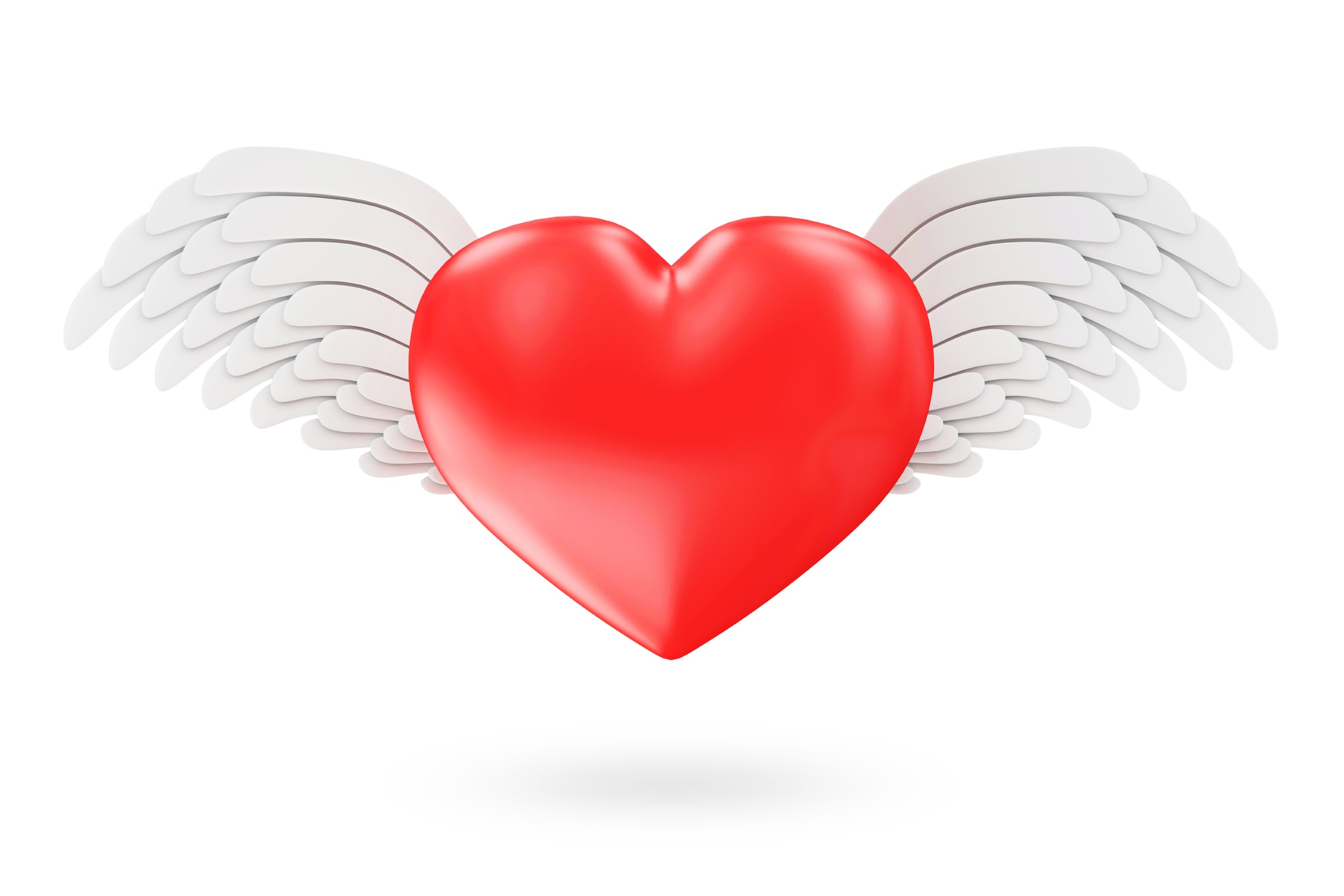 St Valentine's Day or Love Concept. Shiny Red Heart with Angel White Wings isolated on white background